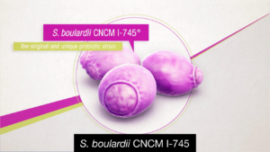 S. boulardii CNCM I-745